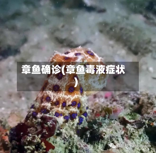 章鱼确诊(章鱼毒液症状)-第2张图片