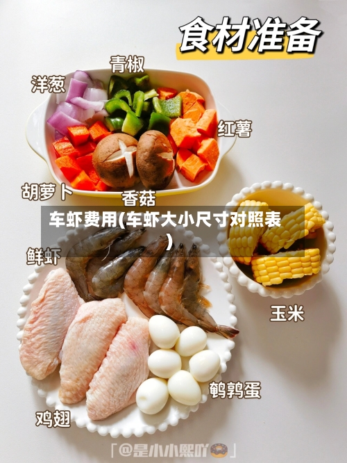 车虾费用(车虾大小尺寸对照表)